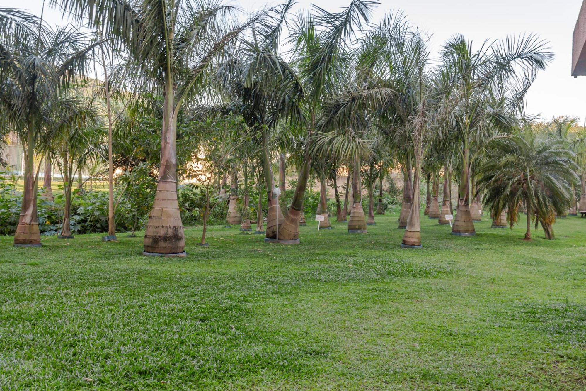 Apartment Vista Atlantico: Cond. Arborizado Em P1474