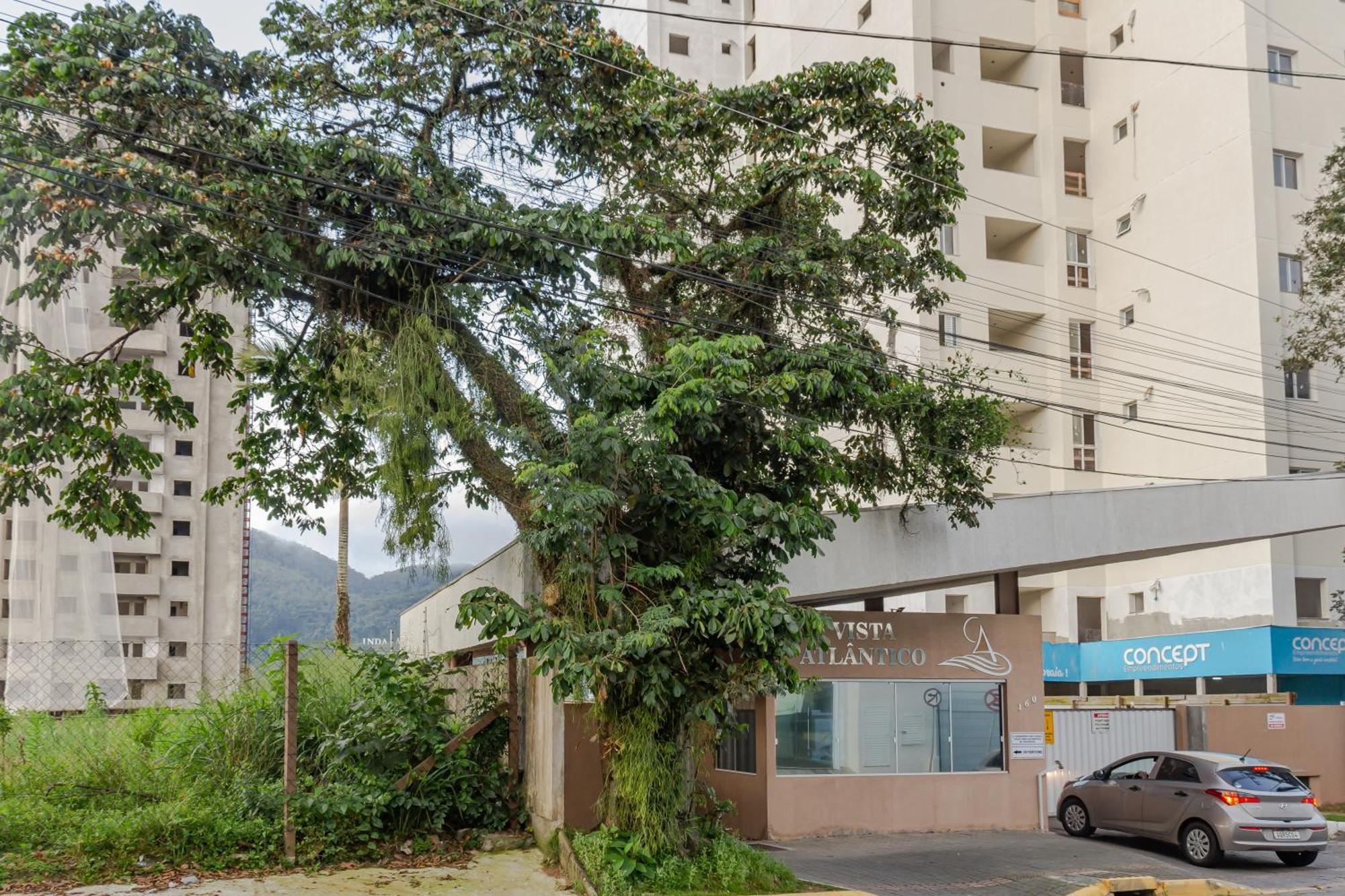 Vista Atlantico: Cond. Arborizado Em P1474 Apartamento Itapema